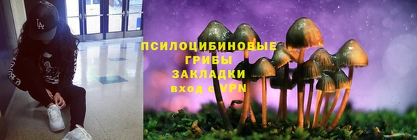 кристаллы Богданович
