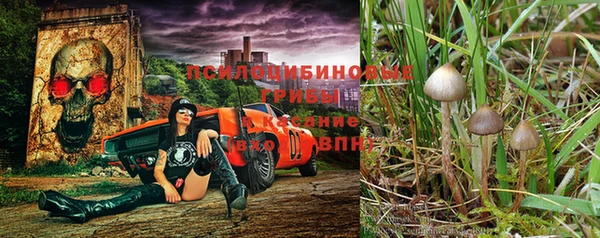 таблы Богородицк