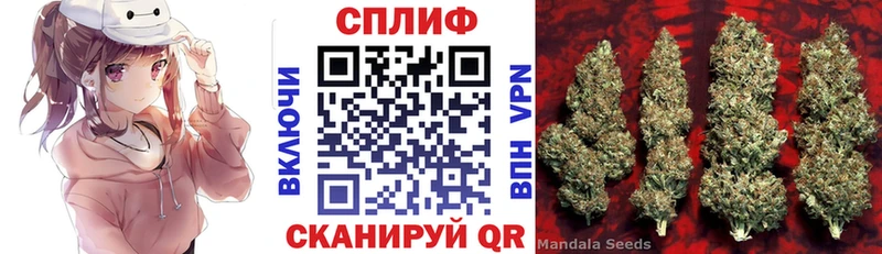 сколько стоит  Киржач  Канабис OG Kush 